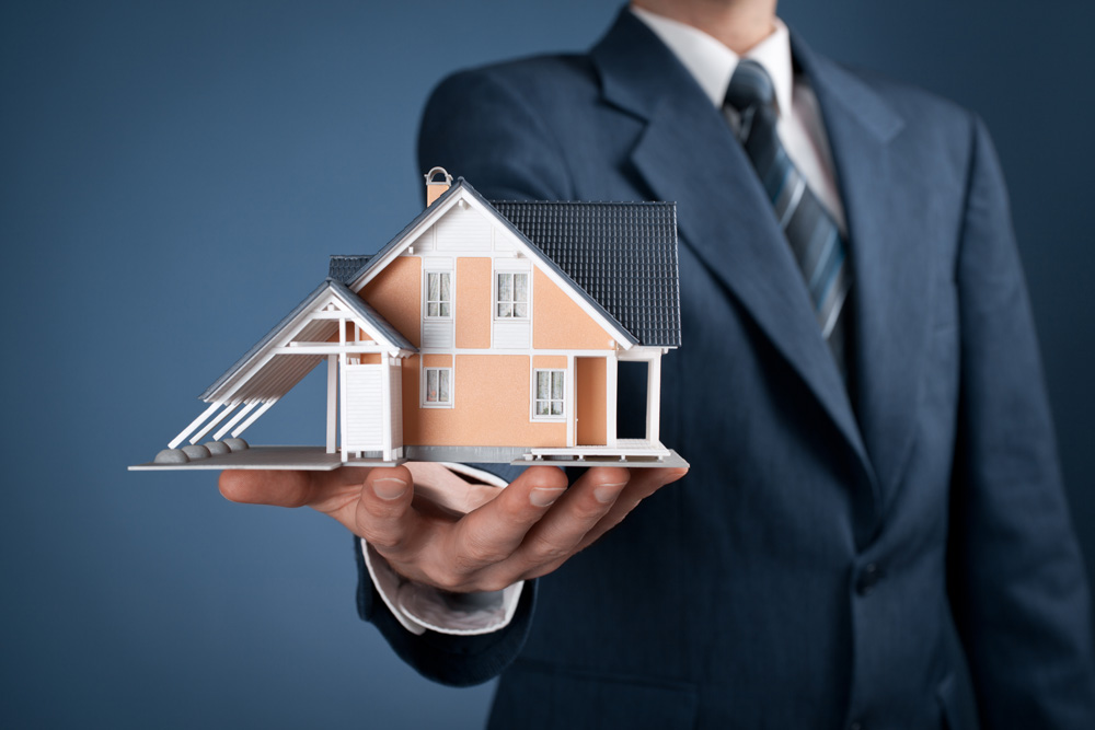 دامین املاک دامین املاک